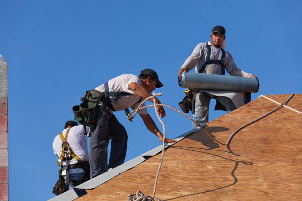 Best Storm Damage Roof Repair  in Ponderosa Pine, NM